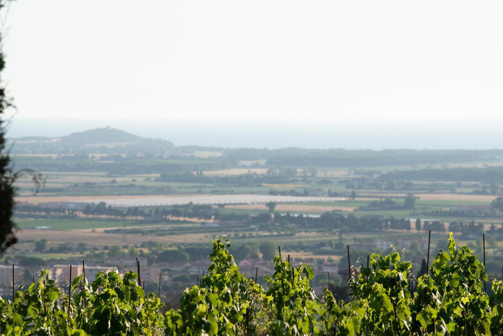Castello Bonaria Wine & Spa Resort Campiglia Marittima Zewnętrze zdjęcie